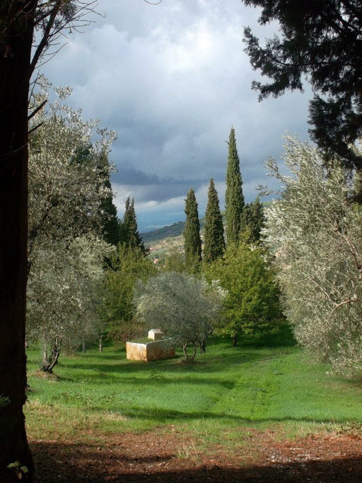 The Garden of Daniel Spoerri, Maremma Tuscany